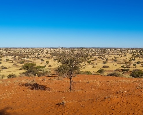 Kalahari