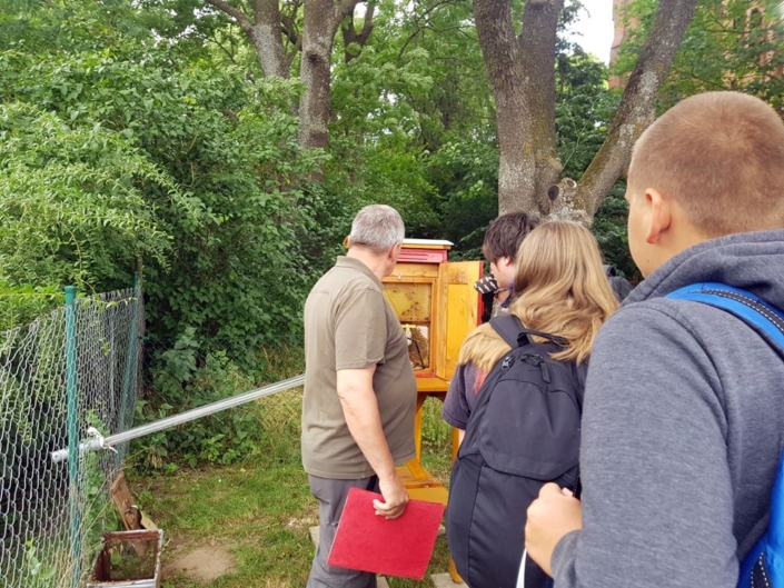 Informatives zu Bienen im Naturpark Flusslandschaft Peenetal