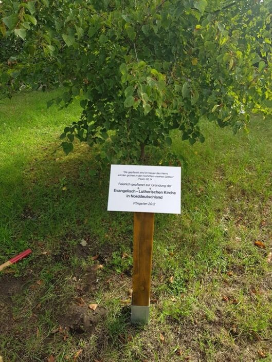 Gedenktafel vor dem Lindenbaum in Krusenfelde-Gramzow