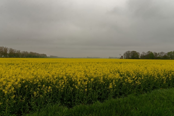 Das Wetter an Himmelfahrt 2021 war grau, kühl, neblig und regnerisch