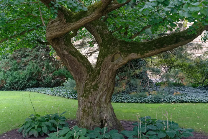 Im Schlossgarten um das Schweriner Schloss