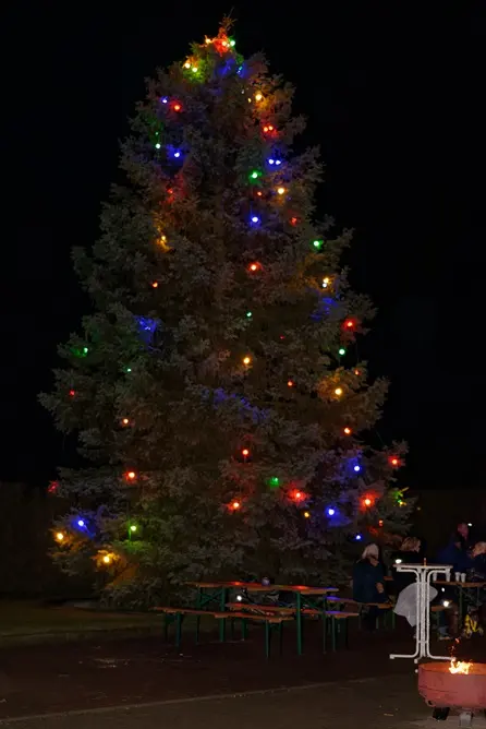 Weihnachtsbaum auf dem Kriener Weihnachtsmarkt 2022