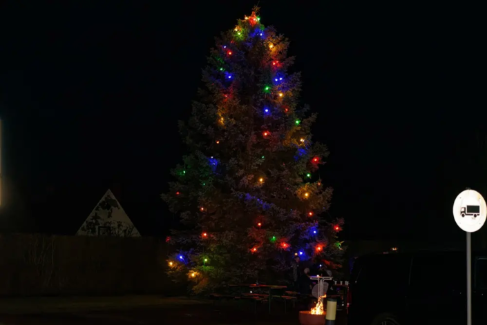 Weihnachtsbaum auf dem Kriener Weihnachtsmarkt 2022
