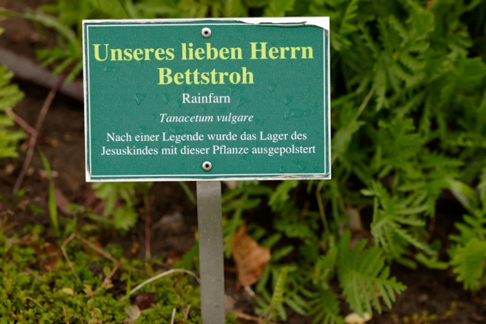 Das Bettstroh des Herrn