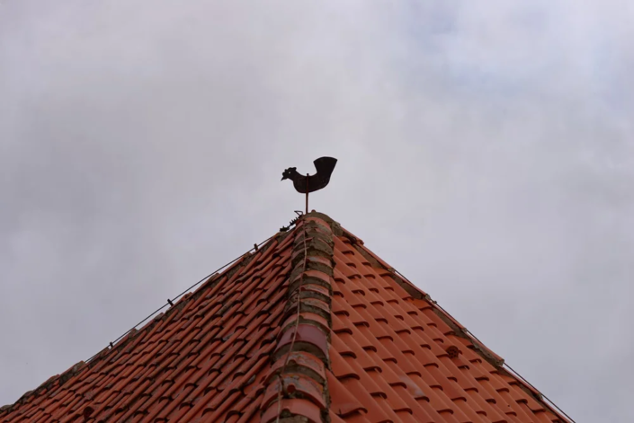 Wetterhahn im Einsatz auf der Kirche in Iven