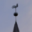 Kirchturmspitze Kirche in Iven